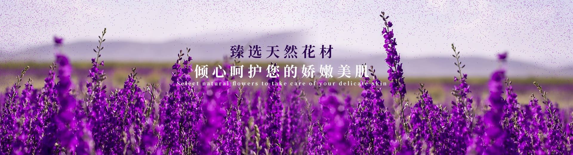 濟(jì)寧市天眾機(jī)械有限公司<br>